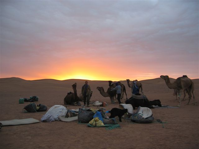 zonsopkomt kamelen woestijn sahara marokko